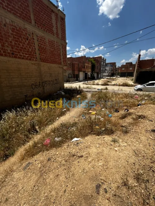 Vente Terrain Khenchela Khenchela