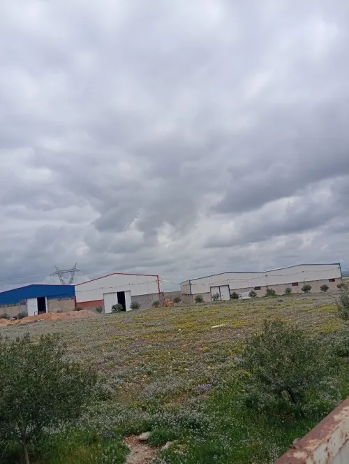 Location Hangar - Usine Sétif Bazer sakhra