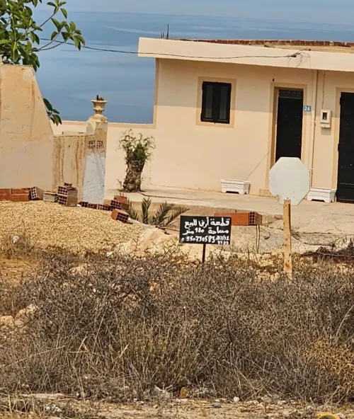 Vente Terrain Tlemcen Souk tlata