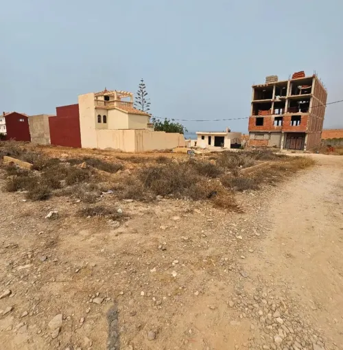 Vente Terrain Tlemcen Souk tlata