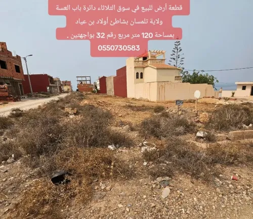 Vente Terrain Tlemcen Souk tlata