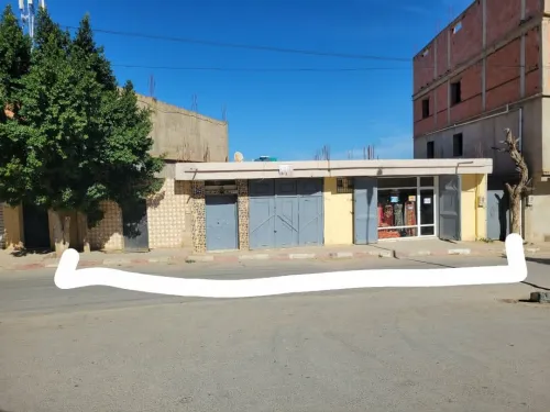 Vente Immeuble Chlef Tadjena