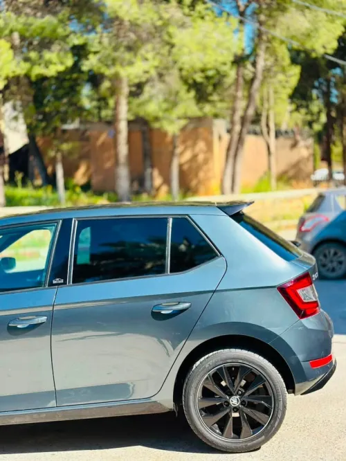 Skoda Fabia 2020 Monte Carlo