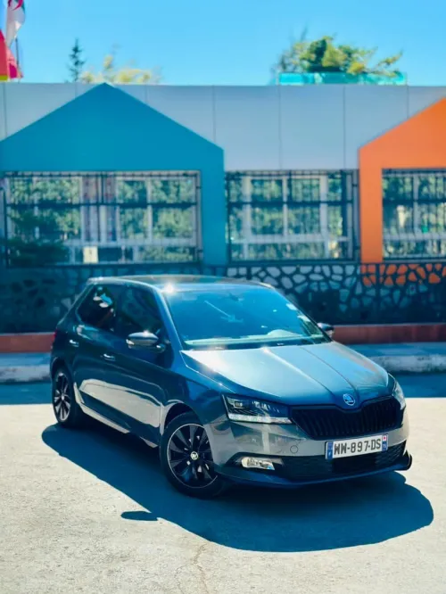 Skoda Fabia 2020 Monte Carlo