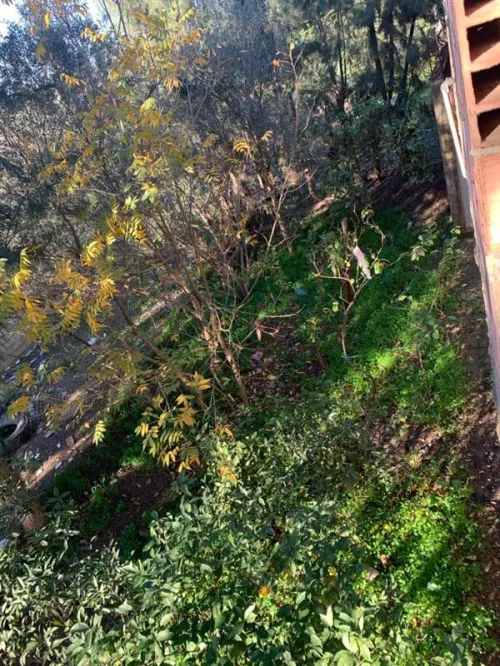 Vente Villa Blida Ben khellil