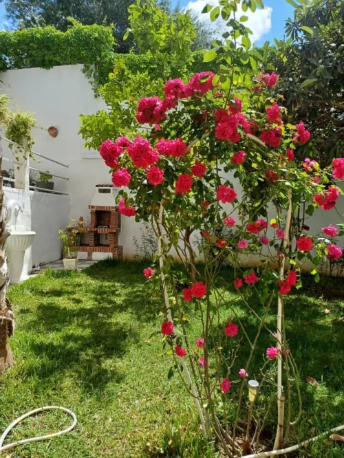 Vente Villa Constantine Constantine