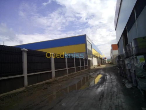 Location Hangar Blida Ouled el alleug