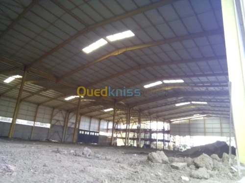 Location Hangar Blida Ouled el alleug
