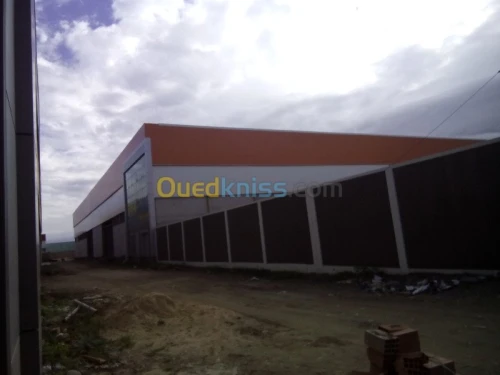 Location Hangar Blida Ouled el alleug