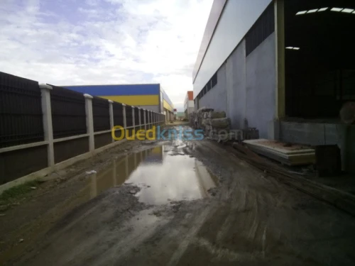 Location Hangar Blida Ouled el alleug