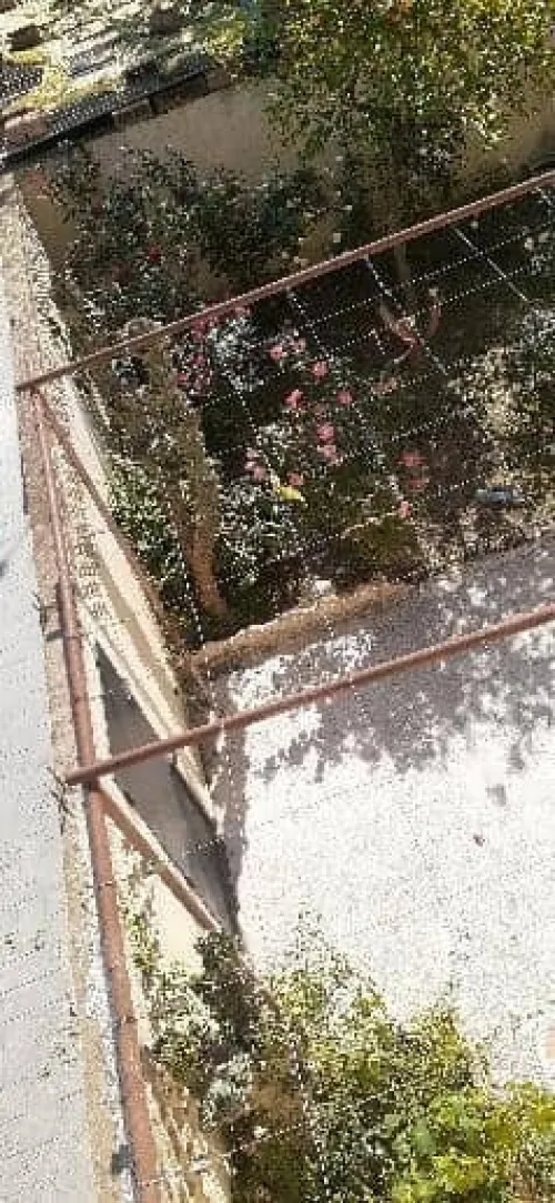Vente Villa Blida Bouinan