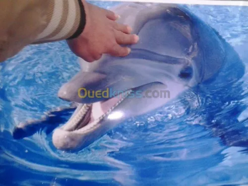 résine epoxy 3D 