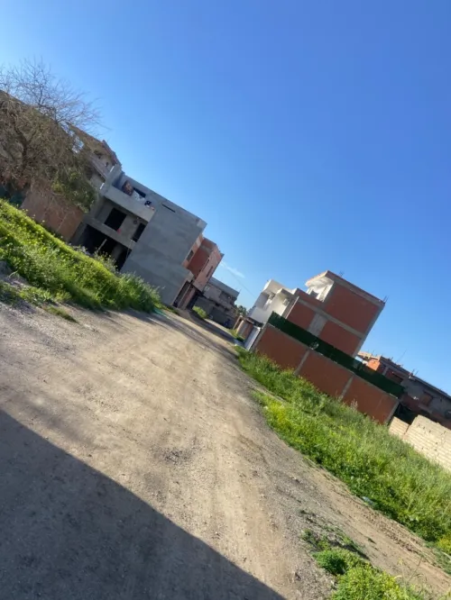 Vente Terrain Alger Ouled chebel