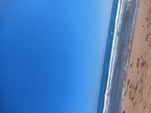 Location vacances bien immobilier Tipaza Cherchell