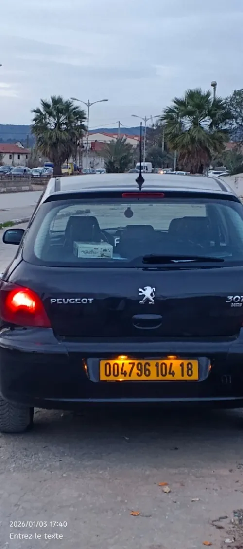 Peugeot 307 2004 XT