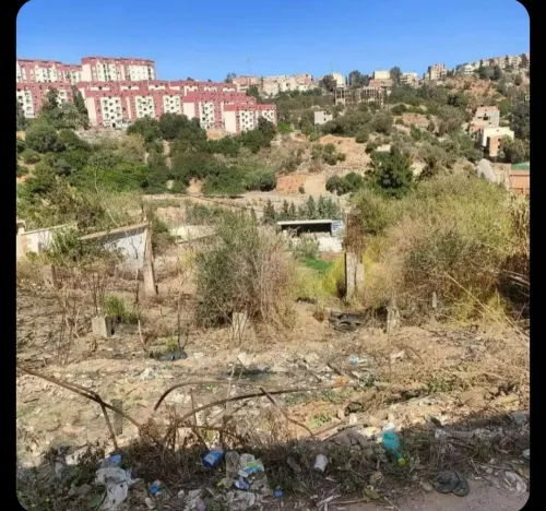 Vente Terrain Alger Beni messous