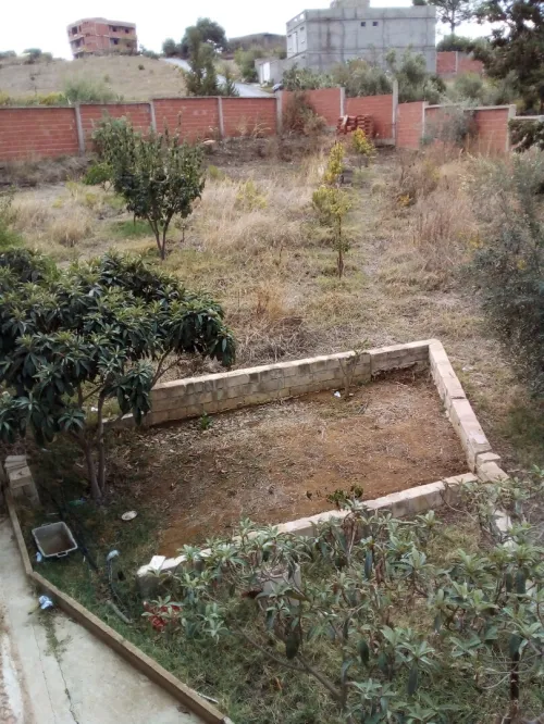 Vente Terrain Bouira Kadiria