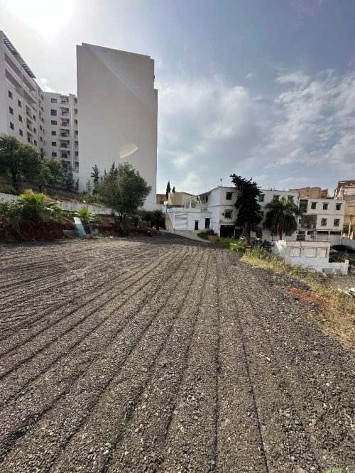 Location Terrain Alger Draria