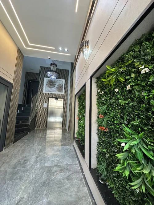 Location Appartement F3 Alger Dely brahim