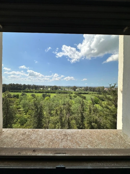 Vente Appartement F3 Blida Boufarik