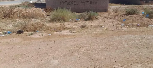 Vente Terrain Tlemcen Maghnia