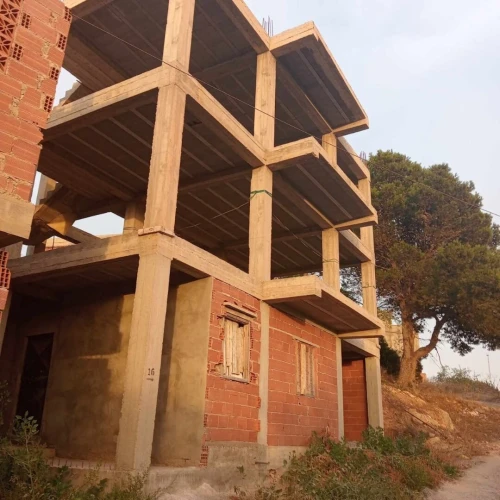 Vente Villa Alger Bouzareah