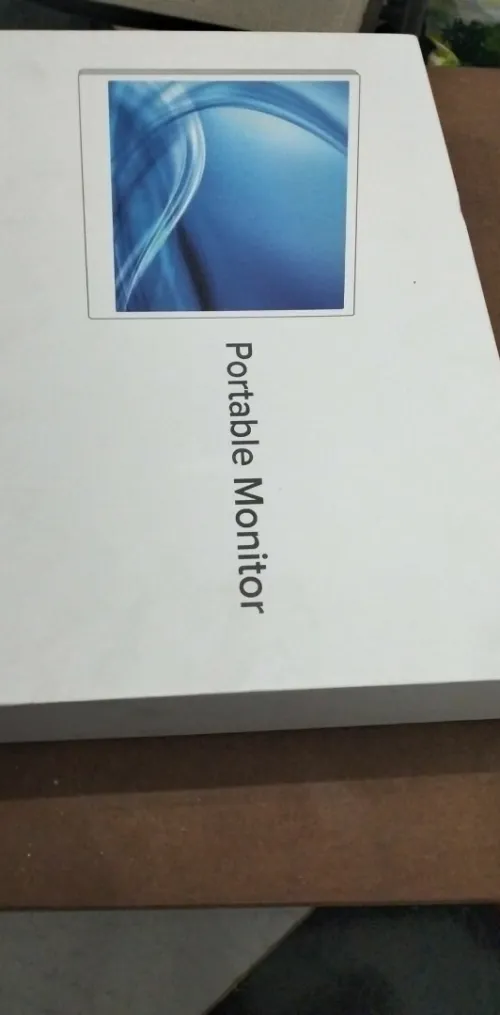 Portable monitor