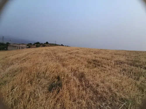 Vente Terrain Tizi Ouzou Draa el mizan