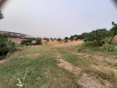 Vente Terrain Tizi Ouzou Draa el mizan