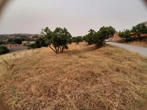 Vente Terrain Tizi Ouzou Draa el mizan