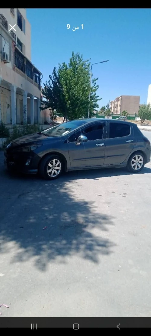 Peugeot 308 2011 Activ
