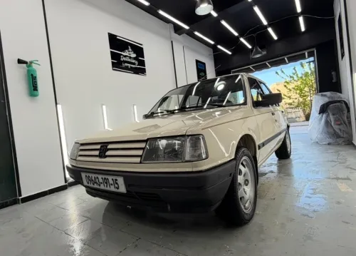 Peugeot 309 1991 