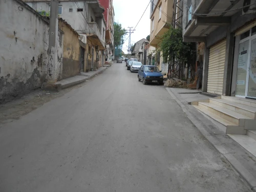 Location Local Tipaza Kolea