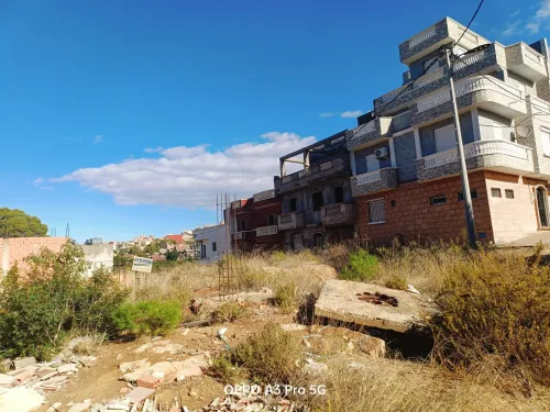 Vente Terrain Tlemcen Honaine