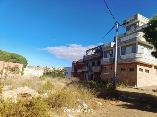 Vente Terrain Tlemcen Honaine