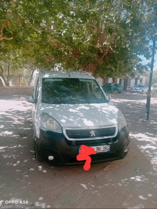 Peugeot Partner 2016 Origin