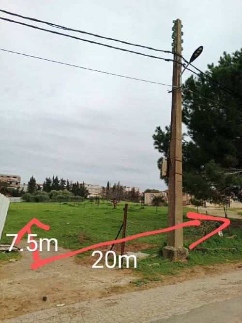 Vente Terrain Alger Ouled fayet