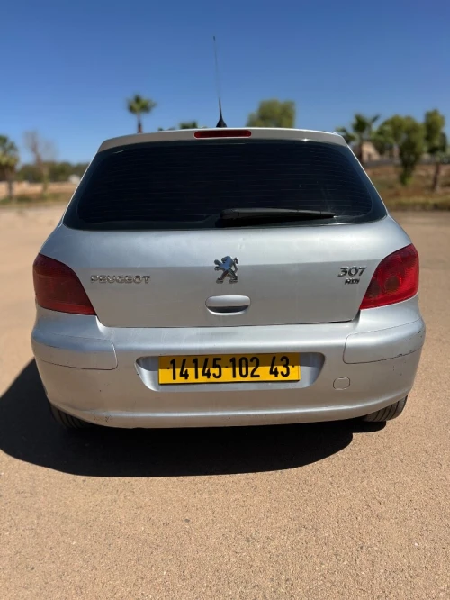 Peugeot 307 2002 