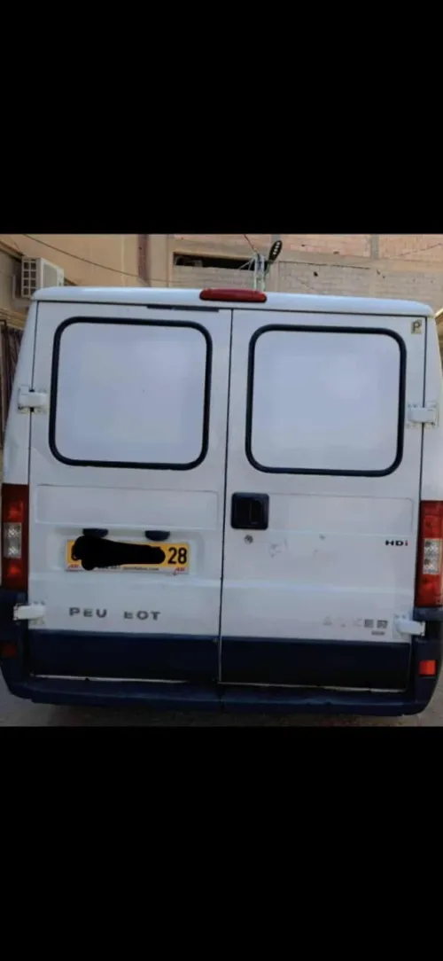 Boxer Pijou 2003