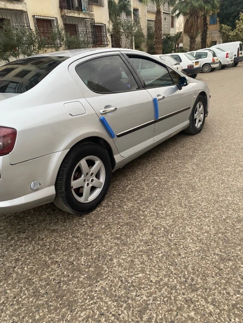 Peugeot 407 2004 407