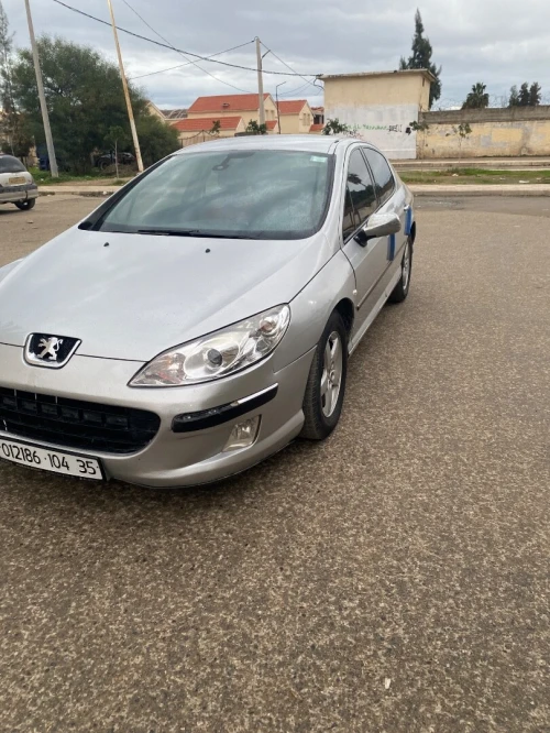 Peugeot 407 2004 407