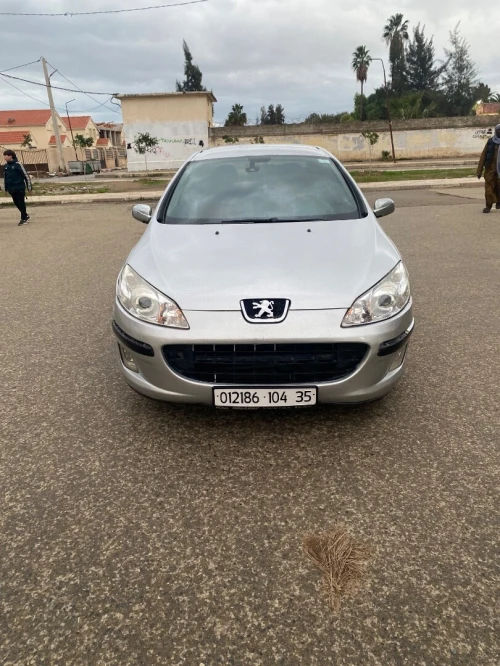 Peugeot 407 2004 407