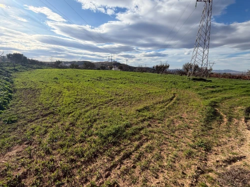 Vente Terrain Agricole Tlemcen Mansourah