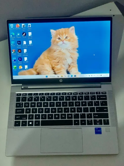 HP PROBOOK