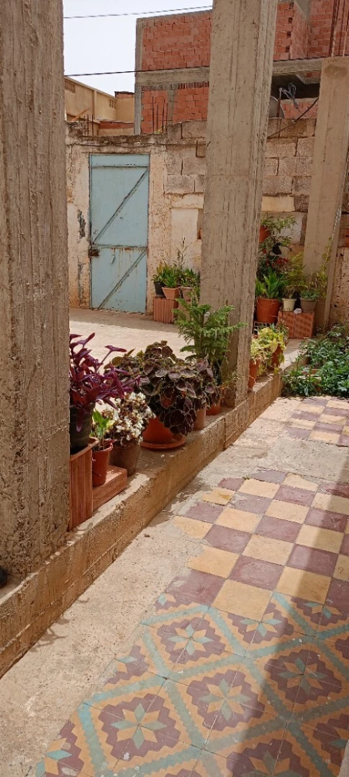 Vente bien immobilier Chlef Chettia