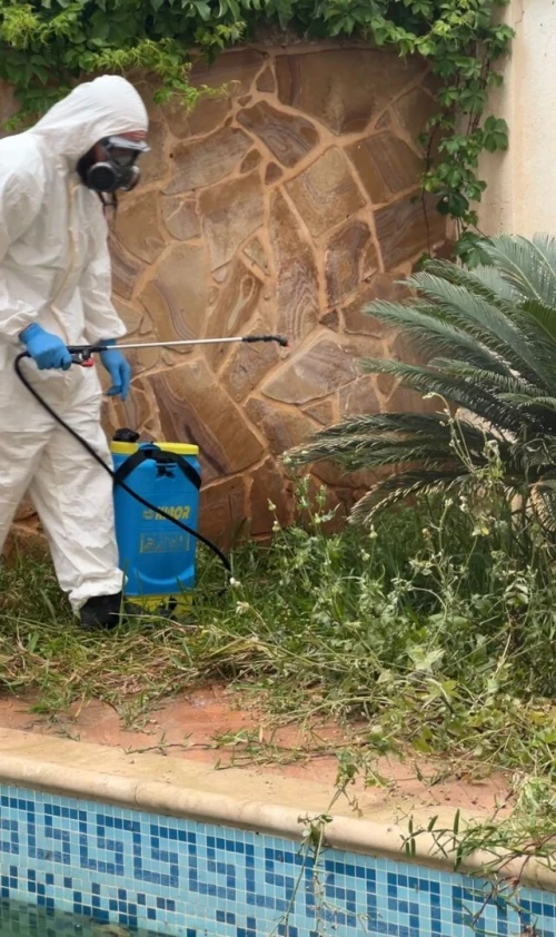 Entreprise de Dératisation, Désinsectisation 3D, Désinfection & Fumigation à Alger