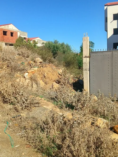 Vente Terrain Tizi Ouzou Tigzirt