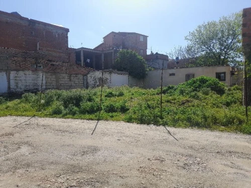 Vente Terrain Boumerdès Hammedi
