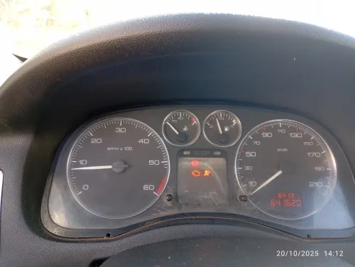 Peugeot 307 2007 307