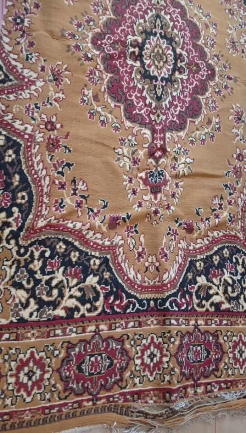 TAPIS